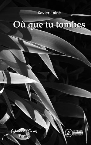 Où Que Tu Tombes Extrait