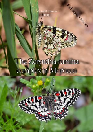 The Zerynthia rumina complex In Morocco. Michel Tarrier