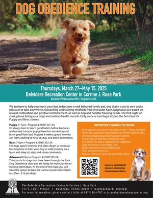 Dog Obedience Training