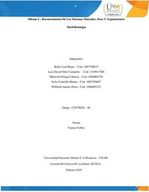 – Dilema 2 – Reconocimiento De Los Sistemas (152978028 – 56 )