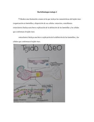 Morfofisiología Trabajo 2