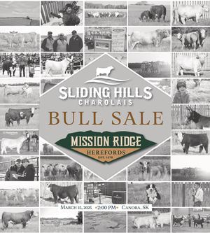 Mission Ridge Herefords Bull Sale 2025