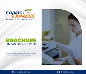 Brochure L Negocio Panama