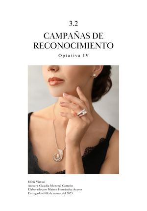 3.2 Campañas de reconocimiento