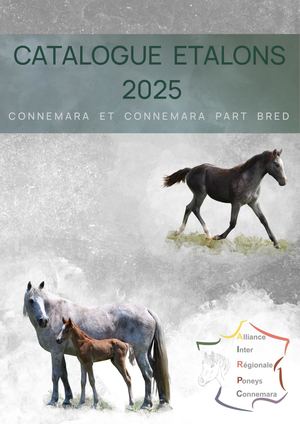 CATALOGUE ETALONS CONNEMARA ET CONNEMARA PART BRED 2025