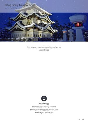 Bragg Family Xmas In Japan