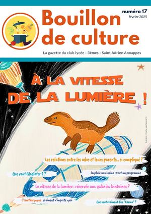 Bouillon De Culture N°17