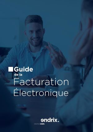 Guide Facture Electronique Endrix2025