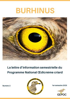Burhinus #02 - La Lettre d'information du PNO