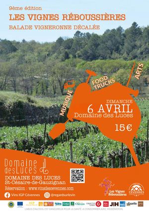 2024 Dp Vr Report Pdf