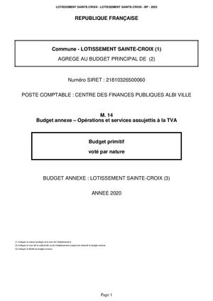 Budget Annexe 2020 - Lotissement