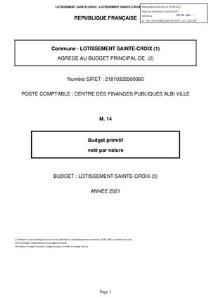 Budget 99 Bu 081 218103265 20210414 Bp Lot 2021 Bf 1 1 2