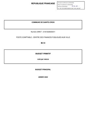 Budget Primitif Cne 2022