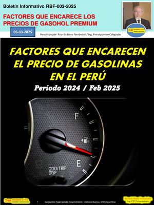 Factores Que Encarecen La Gasohol Premium Boletin Rbf 003 2025
