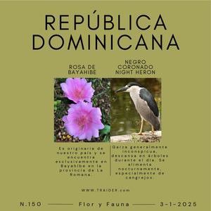 Post Para Instagram Catálogo De Moda Minimalista Blanco