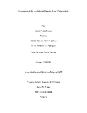 Reconocimiento De Los Sistemas Muscular