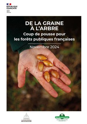 De la graine à l'arbre : coup de pousse pour les forêts publiques françaises