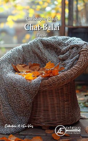 Chat Balai Extrait