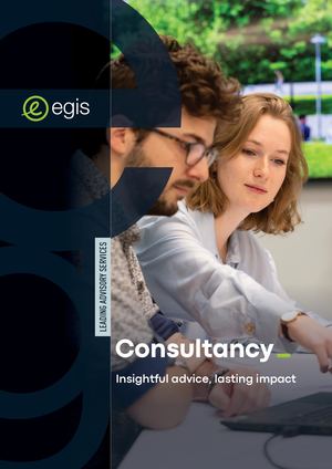 Consultancy - Egis - English - 2025