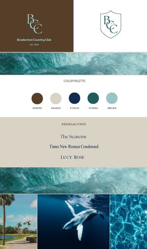 BCC Green & Blue Brand Board