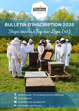 Fay Aux Loges (45) Bulletin D'inscription Stages 2024