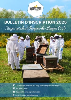 Langon (33) Bulletin D'inscription Stages 2024