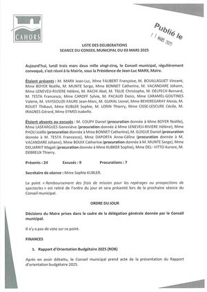 Séance du conseil municipal du 03 03 2025