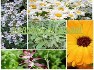 Dərman Bi̇tki̇ləri̇ Slayd 1