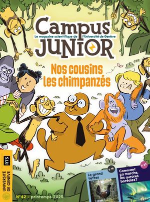 No42 Les Chimpanzés