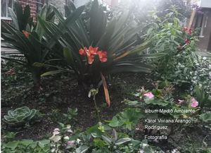 Album Fotos medio ambiente