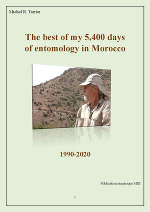 The best of my 5,400 days  of entomology in Morocco. Michel Tarrier