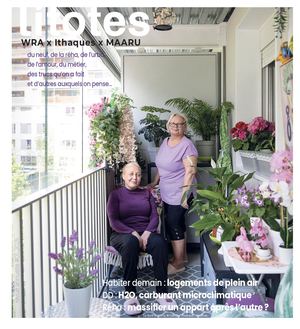 Litotes #1, 2025, Architecture & bricolage idéal