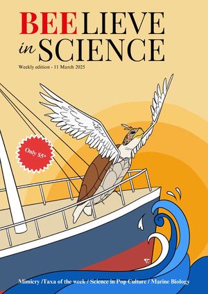 Gazette 2025 Imabee Efce Compressed