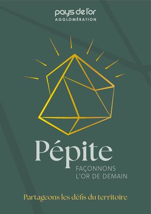 Synthèse Pépite, projet de territoire