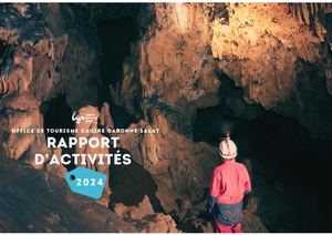 Rapport D'activite 2024 Avec Compression
