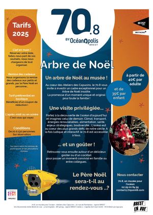Fiche produit Arbre de Noël 2025