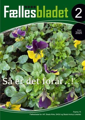 Fællesbladet nr. 2 - Marts 2025