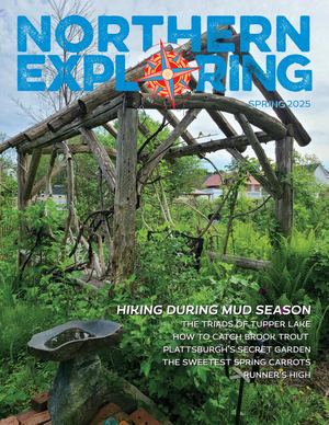 Northern Exploring | Spring 2025