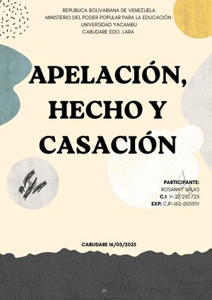 Revista Apelacion Hecho Casacion