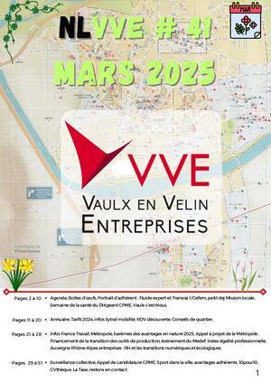 Newsletter Vve Mars 2025 N° 41