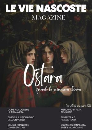 LE VIE NASCOSTE MAGAZINE