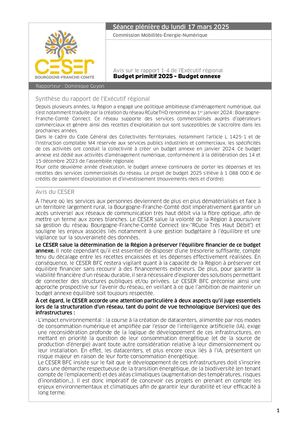 Budget primitif 2025 - Budget annexe