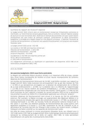 Budget primitif 2025 - Budget principal