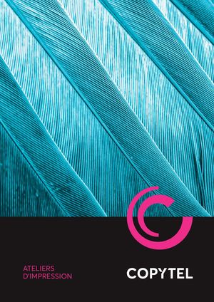 1 - Catalogue Général Copytel 2024
