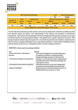 Msc International Business 2025/2026