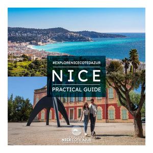 EN Nice Practical Guide
