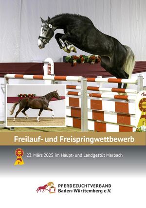 Freilauf- und Freispringwettbewerb 2025