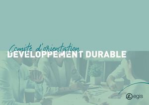 Comité d'orientation Développement durable - Egis - Français - 2024