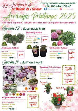 Arrivage Fleurs 2025