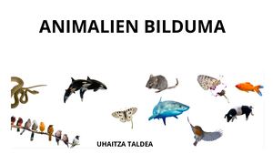 Bilduma Uhaitza